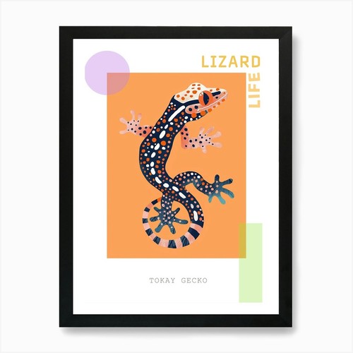 Coral tokay gecko abstract - coral,