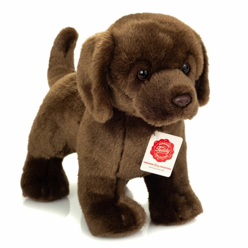 Teddy hermann labrador debout - teddy,