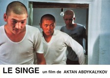 LOT 6 PHOTOS D'EXPLOITATION