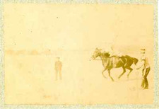 France, Voltige équestre