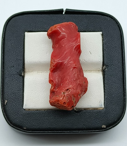 Branche brute corail rouge - de,