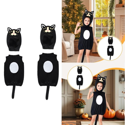 Costume chat halloween - costume,