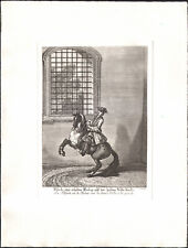 1760 Gravure Eau-forte Johann Elias Ridinger Equitation Redop Cheval