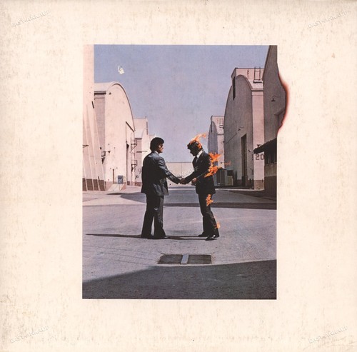 Pink floyd wish - pink,