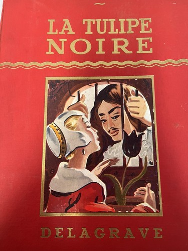 Tulipe noire dumas - la,