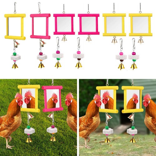 Jouets miroir pour - jouets, poules