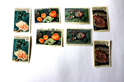 Poissons coraux 1959 - et, coraux,