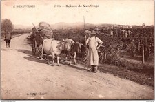 S18193 cpa 69 Le Beaujolais - Scènes de Vendange