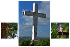 3Pcs Home Canvas Wall Decor