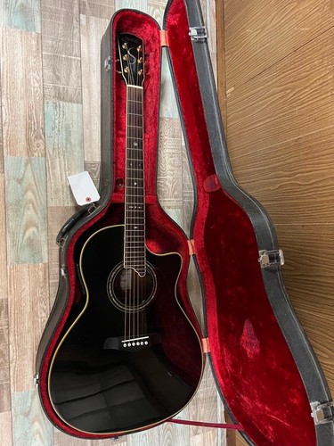 Guitare acoustique électrique