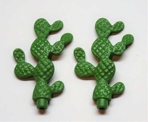 Cactus cm playmobil - x,