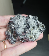 Galène brut 153 g / 6,5 x 5 x 1,2 cm Mine Borieva - Madan - Smolyan (Bulgarie)