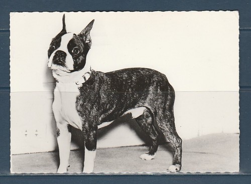 Cpsm vers 1960 - vers,