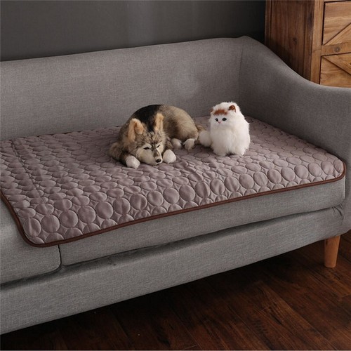 Chien refroidissement tapis - refroidissement,