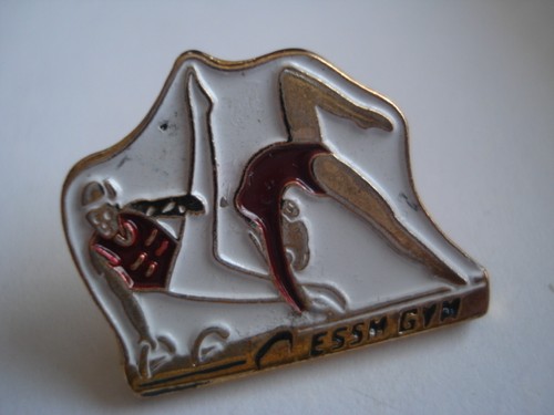 Pins rare vintage cheval - pins,
