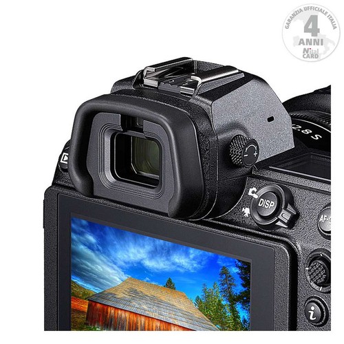Nikon oeilleton d - nikon,