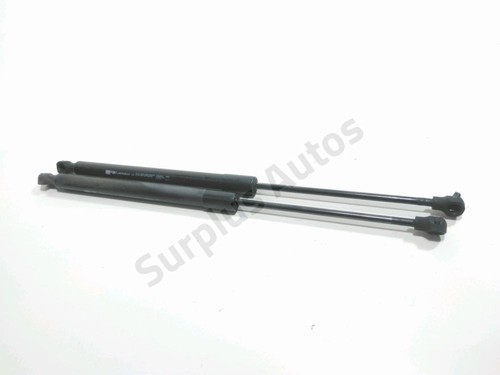 Verin hayon 844308661r renault - 844308661r,