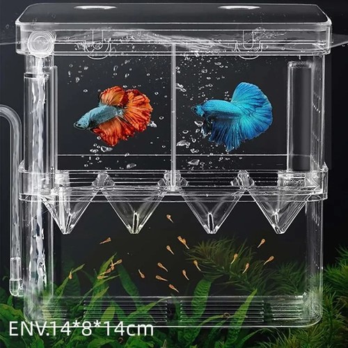 Aquarium boîte pondoir - boîte,