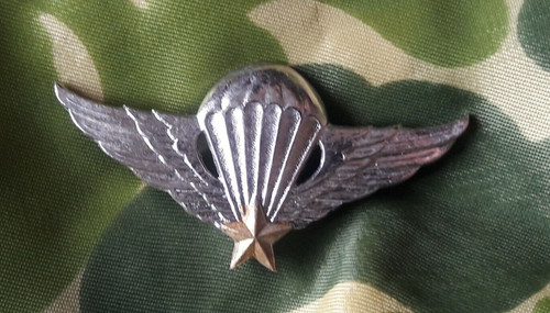 Insigne brevet parachutiste - insigne,
