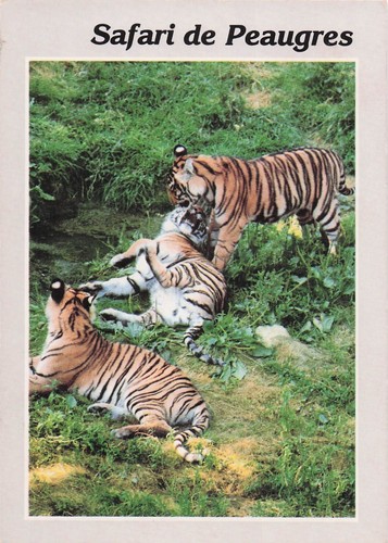 Peaugres safari parc - peaugres,