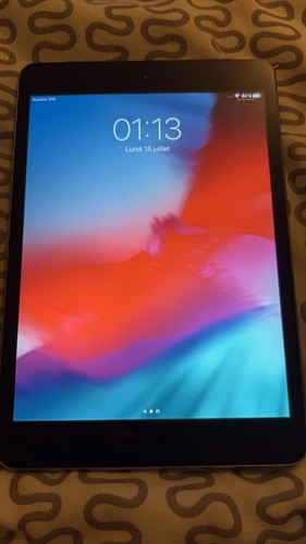 Ipad mini cellular - ipad,