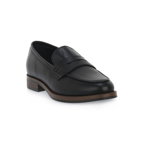 Chaussures nero giardini - chaussures,