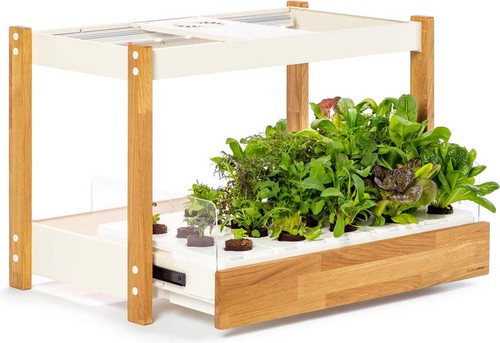 Click grow jardin - &,