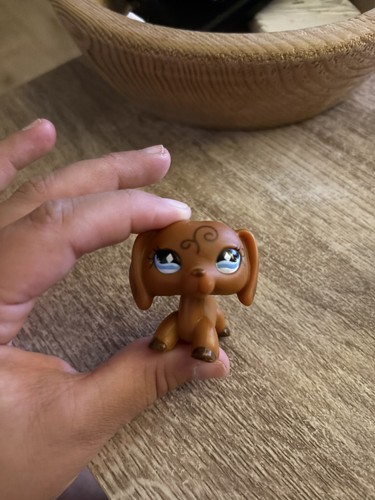 Petshop teckel brin - brin, aux