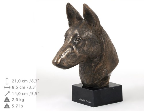 Chien berger belge - berger,
