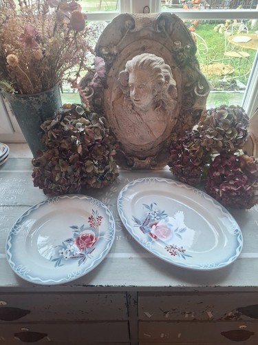 Anciens plats faïencerie - ,