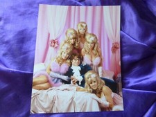 Austin Powers Photo