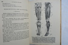 LA MACHINE HUMAINE ANATOMIE