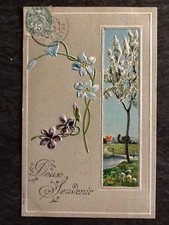 CP ILLUSTREE GAUFREE SOUVENIR