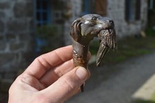 Pommeau Canne Corne Epagneul