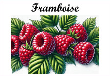 Framboise 12 Etiquettes vinyle
