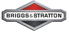 Carburateur Original Moteur Tondeuse BRIGGS & STRATTON 494329