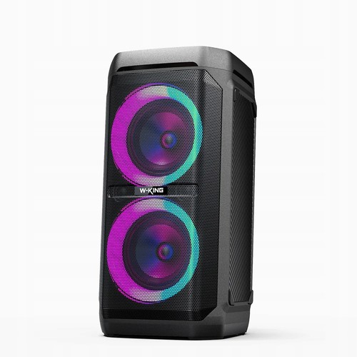 Enceinte portable sans fil