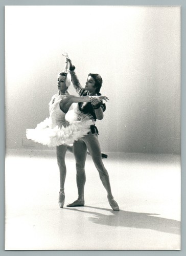 1978 lac des cygnes - 1978, michael