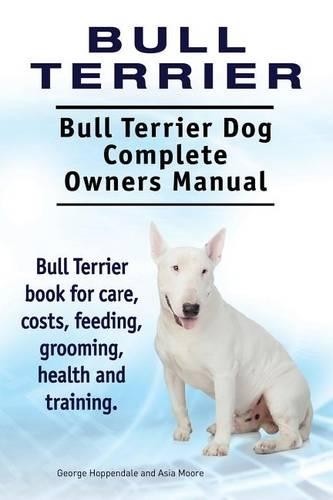 Asia moore geor bull - geor, terrier