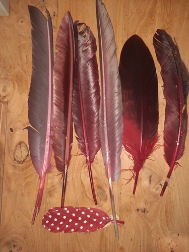 Application ancienne plume - 9,