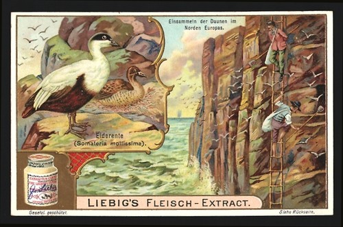 Image collection liebig - de,