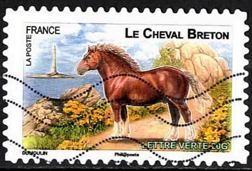 2013 cheval breton - cheval,