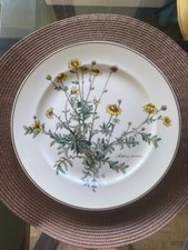 6 assiettes en porcelaine