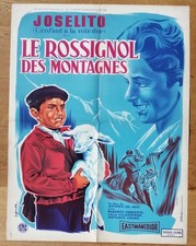 ROSSIGNOL DES MONTAGNES