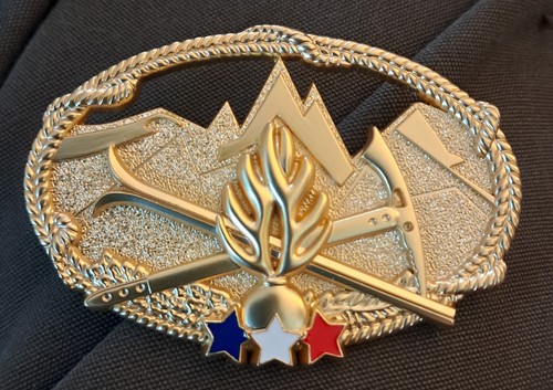Insigne brevet gendarmerie - insigne,