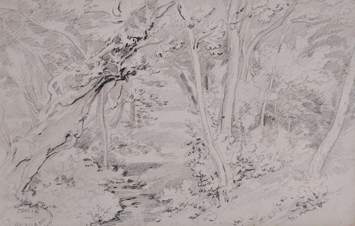 Jolie dessin paysage armand - dessin,