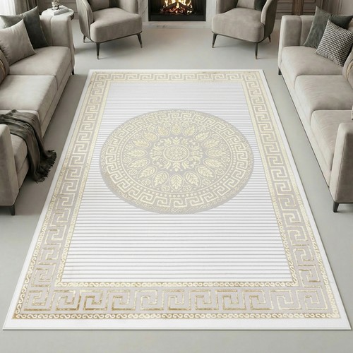 Tapis salon design oriental - salon,