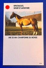 HIPPISME TROTTEUR UNE DE MAI - GRAND PRIX D’AMÉRIQUE  CARD FRENCH EDITION 1987