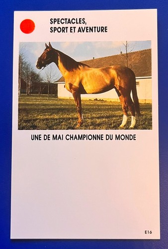 Hippisme trotteur une mai - une,