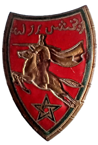 Insigne cavalerie cavspa 007 - insigne,